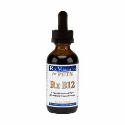 Rx B12; ?>