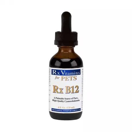 Rx B12 for Dogs and Cats - 4oz Oral Liquid RxVitamins