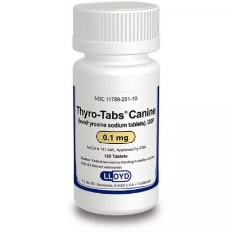 Thyro-Tabs Canine (levothyroxine) Hypothyroidism in Dogs - 0.1mg, 120 Tablet Bottle