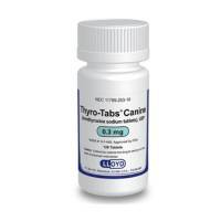 Thyro-Tabs Canine (levothyroxine) 0.3mg, 120 Tablet Bottle; ?>