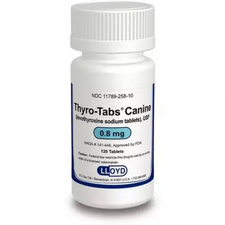 Thyro-Tabs Canine (levothyroxine) Hypothyroidism in Dogs - 0.8mg, 120 Tablet Bottle