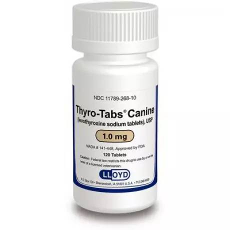Thyro-Tabs Canine (levothyroxine) Hypothyroidism in Dogs - 1mg, 120 Tablet Bottle