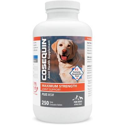 Cosequin Maximum Strength Joint Support Plus MSM, 250 Chewable Tablets