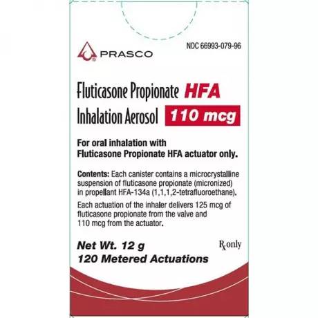 Fluticasone for Cats and Dogs Inhalation Aerosol (Generic) - 110 mcg, 120 Metered Actuations