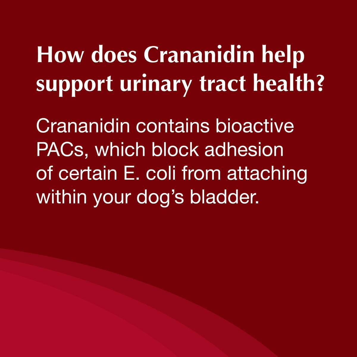 can i give my dog cranberry tablets for uti