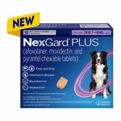 NexGard PLUS Chewables for Dogs 33.1-66 lbs, 3 Month Supply