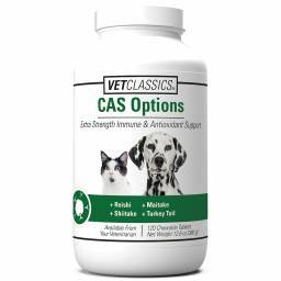 CAS Options; ?>