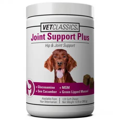 Joint Support Plus Hip and Joint Support 120 Soft Chews for Dogs - VetClassics