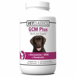 GCM PLUS; ?>