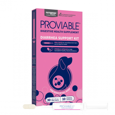 Proviable Probiotic - Medium to Large Dogs, 30 mL Paste and 10 Capsules
