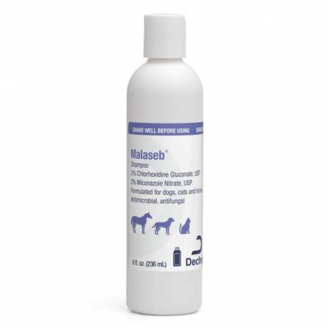 Malaseb 8 oz Shampoo