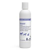 Malaseb Shampoo, 8 oz; ?>