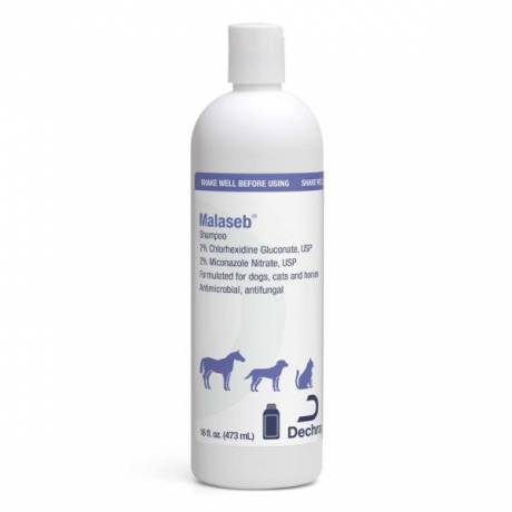 Malaseb 16 oz Shampoo