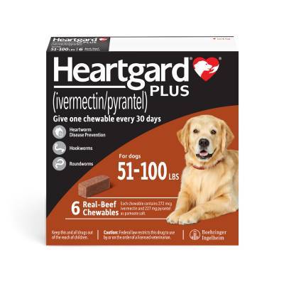 Heartgard PLUS Chewables for Dogs 51-100 lbs, 6 Month Supply