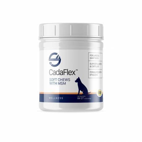 CadaFlex Soft Chews with MSM for Large and Giant Dogs 84ct