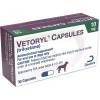 Vetoryl (trilostane) 10mg, 30 Capsules