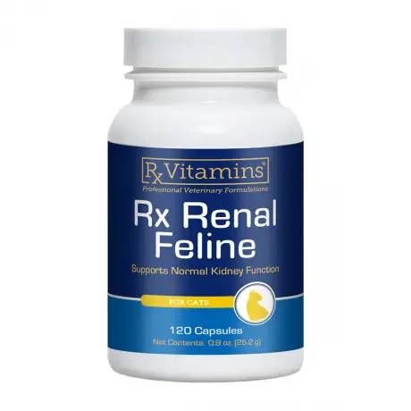 Rx Renal - Feline, 120 Capsules for Cats Kidney Function