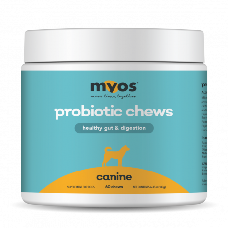 MYOS Canine Probiotic 60 Chews for Gut Health