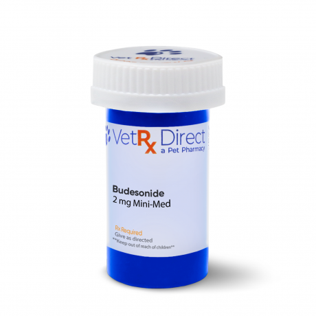 Budesonide Compounded Epicur Mini-Med 2mg Rx Bottle