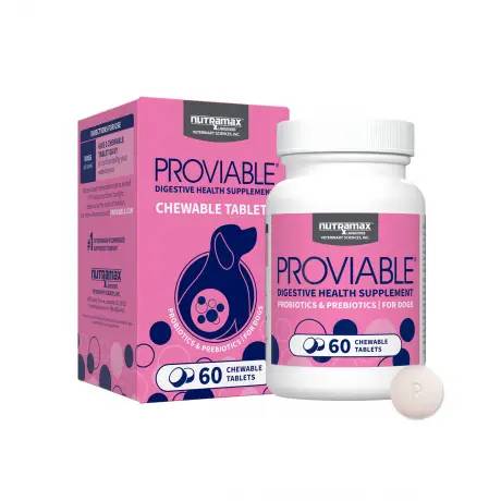 Proviable 60 Chewable Tablets for Dogs Box and Bottle