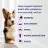 Proviable 60 Chewable Tablets for Dogs About