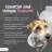 Pro-Pectalin Digestive Health for Dogs and Cats