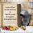 Lafeber Senior Bird Nutri-Berries - Parrot - Slide1