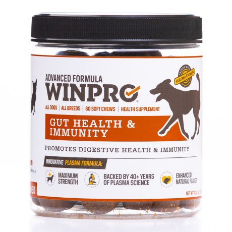 WINPRO for Dogs - Gut Health, 60 Chews Front