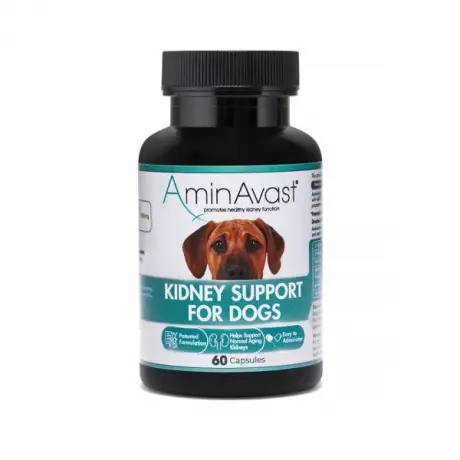 AminAvast for Dogs and Cats over 20 lbs, 60 Sprinkle Capsules (1000mg each)