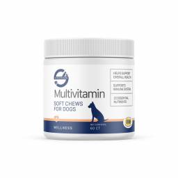 Stratford Multivitamin Soft Chews for Dogs;