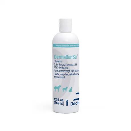 DermaBenSs Shampoo - 12 oz Bottle