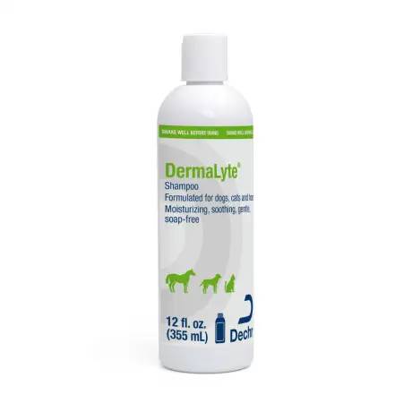 DermaLyte Shampoo - 12oz Bottle