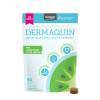 Dermaquin Large Dogs, 60 Soft Chews