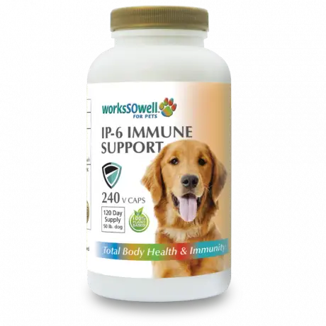 IP-6 Immune Support For Dogs - For Dogs, 240 Capsules