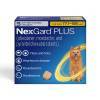 NexGard PLUS Chewables for Dogs 17.1-33 lbs, 3 Month Supply