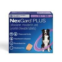 NexGard PLUS Chewables for Dogs 33.1-66 lbs, 3 Month Supply