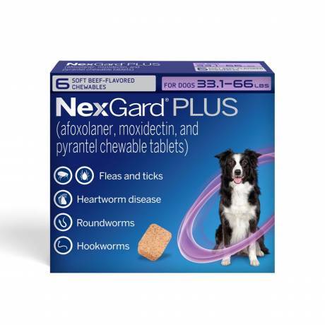 NexGard PLUS chewables for Dogs for prevention of parasites, Large Dogs 33.1-66 lbs, 6 chewables