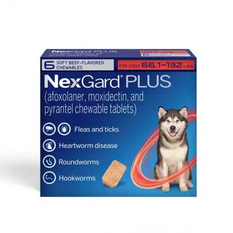 NexGard PLUS chewables for Dogs for prevention of parasites, Extra Large Dogs 66.1-132 lbs, 6 chewables