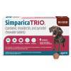 Simparica Trio for Dogs 88.1-132 lbs, 6 Chewables