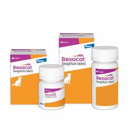 Bexacat (bexagliflozin) Flavored Tablets for Cats;