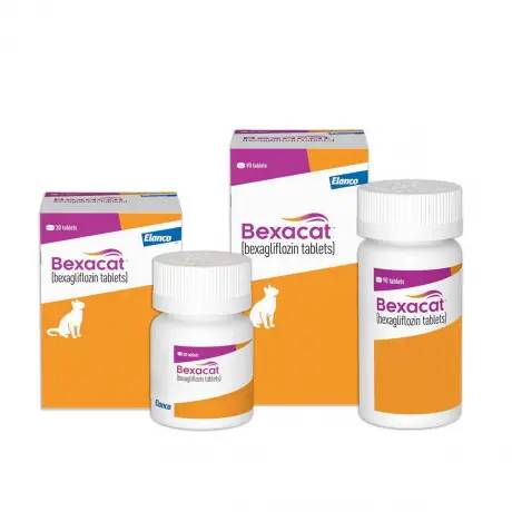 Bexacat (bexagliflozin) Flavored Tablets for Cats, Flavored Tablet, Bottles