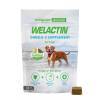 Welactin Canine Omega-3 60 Soft Chews