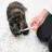 Ulticare Oral Syringes - 3mL Cat