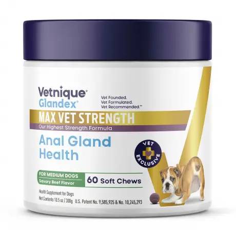 Glandex Max Vet Strength Anal Gland Health 60 Soft Chews for Medium Dogs