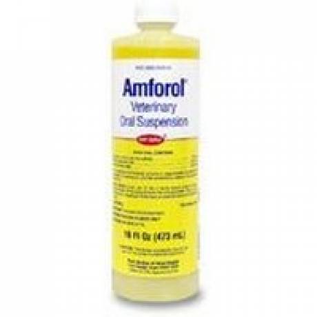 Amforol Suspension 