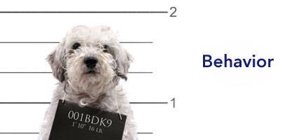 Dog Health Behavior