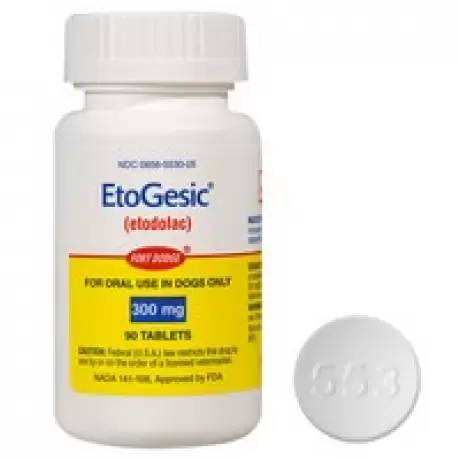 Pill etodolac 300 mg
