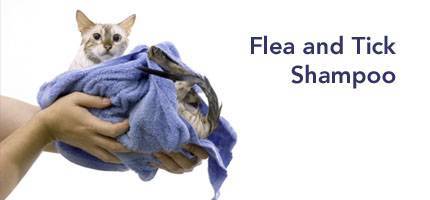 Cat Flea and Tick Shampoo