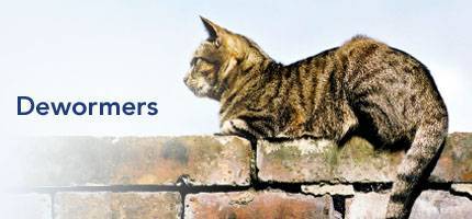 Cat Health Dewormers