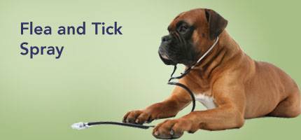Dog Flea and Tick Spray